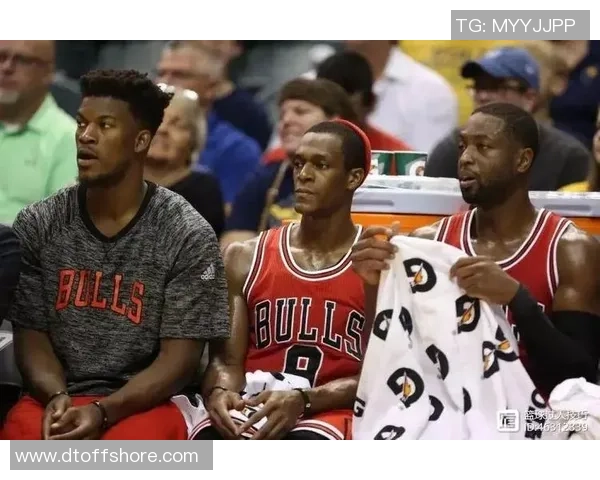 重庆羽毛球队逆袭之路揭秘城市联赛背后的奋斗与荣耀