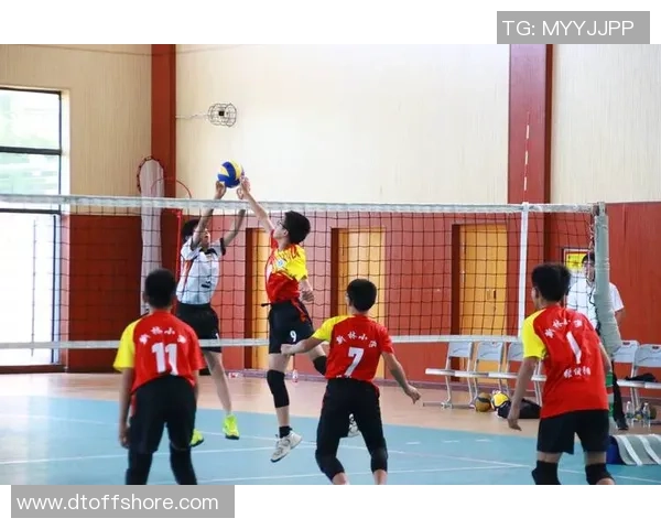 重庆排球队技术实力提升排球技术排行榜荣登第九名 重庆排球队技术实力提升排球技术排行榜荣登第九名