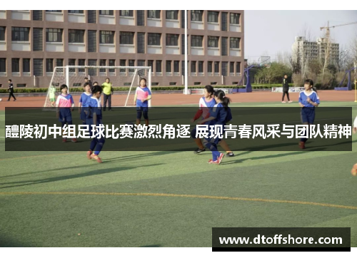 醴陵初中组足球比赛激烈角逐 展现青春风采与团队精神